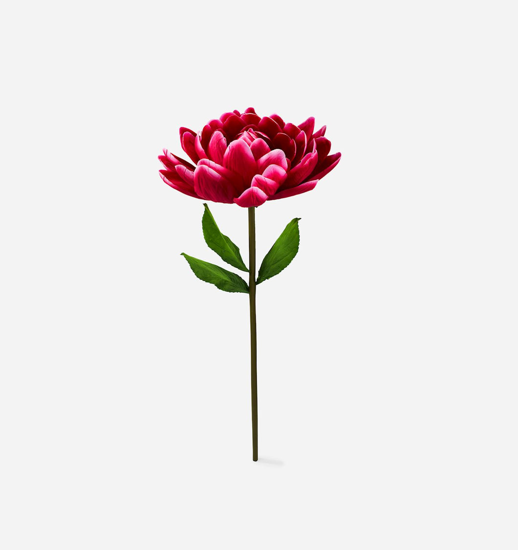 Lotus Flower, Large