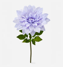 Load image into Gallery viewer, Purple Dahlia Flower, XXXL
