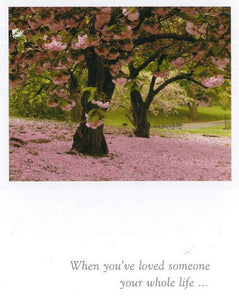 CARDTHARTIC CARD - Sympathy